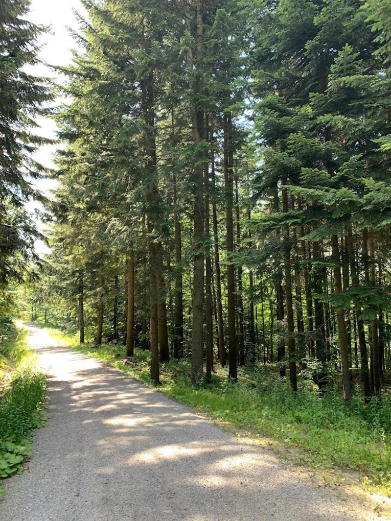 Marzeniec W Beskidzie Niskim Wapienne Luaran gambar